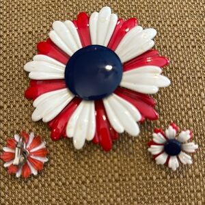 Vintage Red, White, and Blue Flower Brooch and Earrings Set